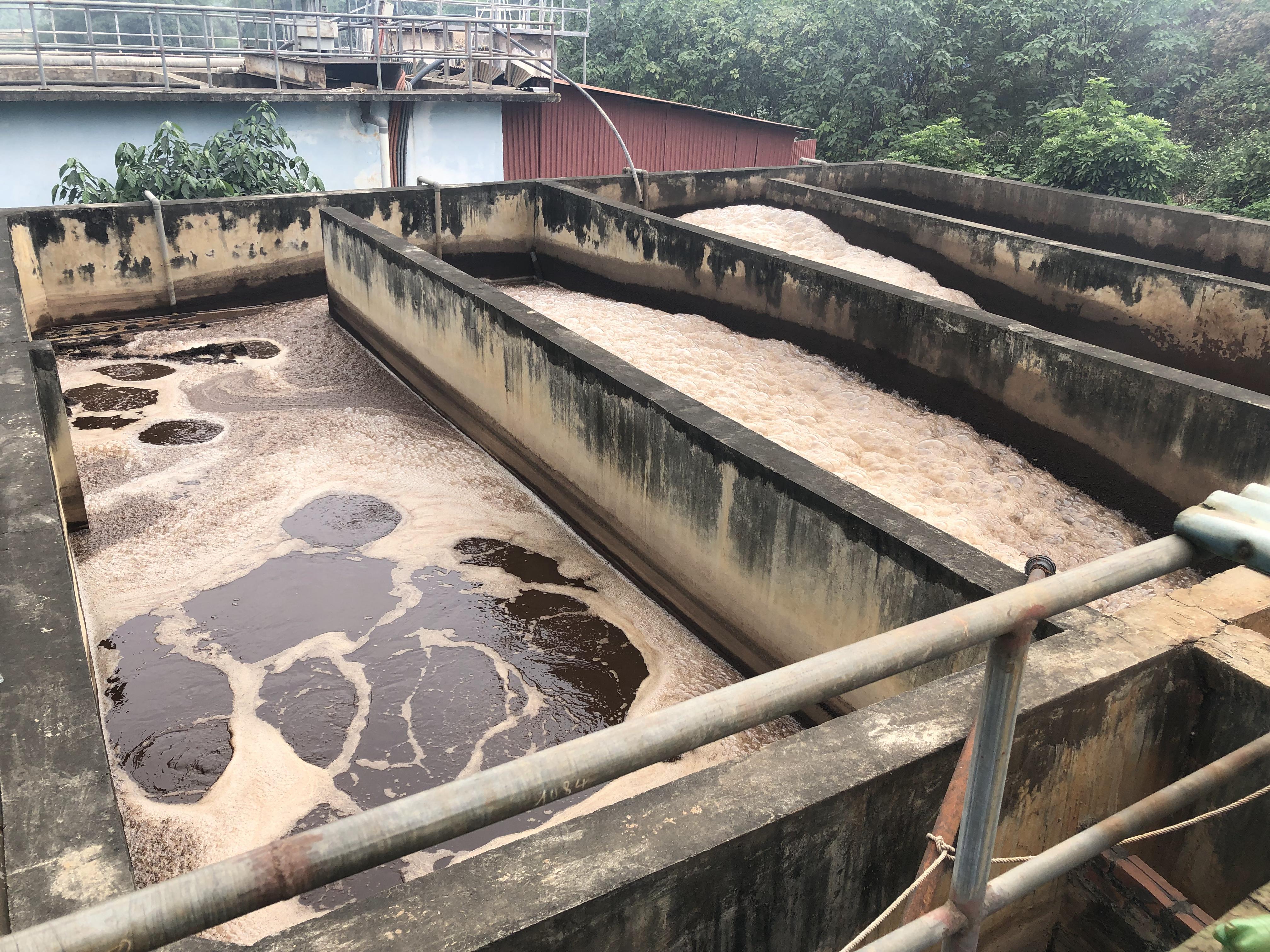 Hệ thống xử lý nước thải từ trang trại chăn nuôi 